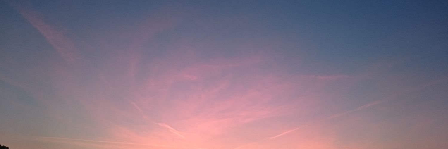 V1011S's profile banner image