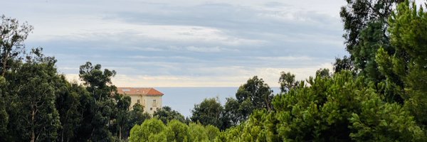 _clavin Profile Banner