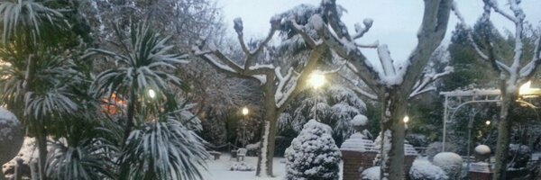 IgorJames23 Profile Banner