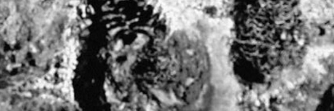 HELKTRAM's profile banner image