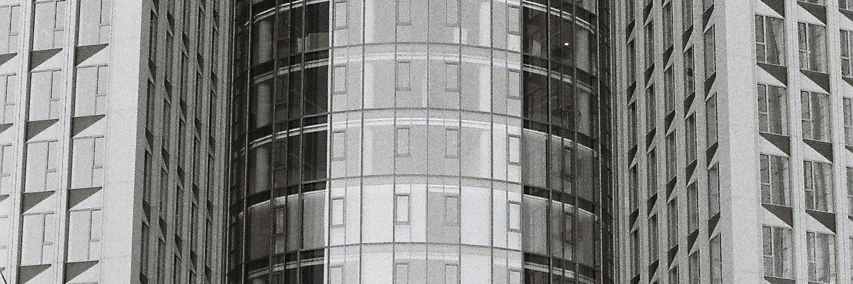 Louis Pienkowski banner