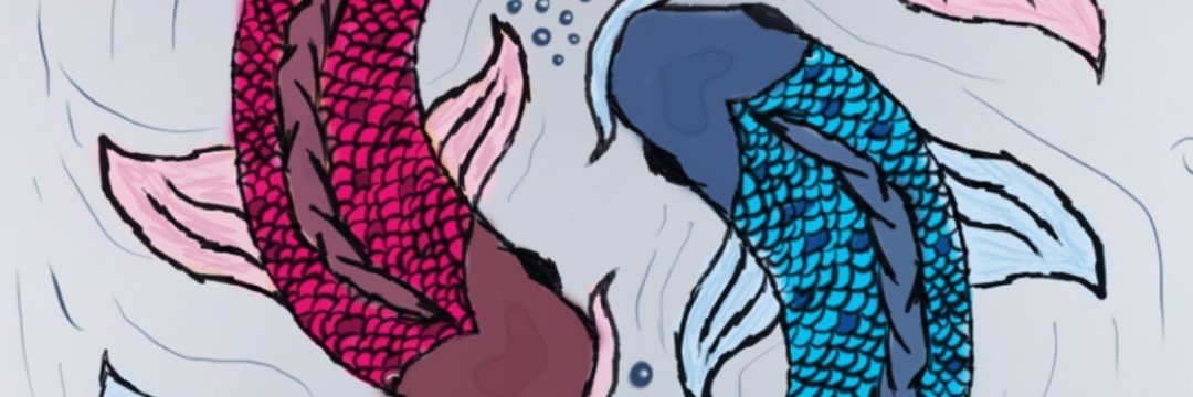 manudloog's profile banner image