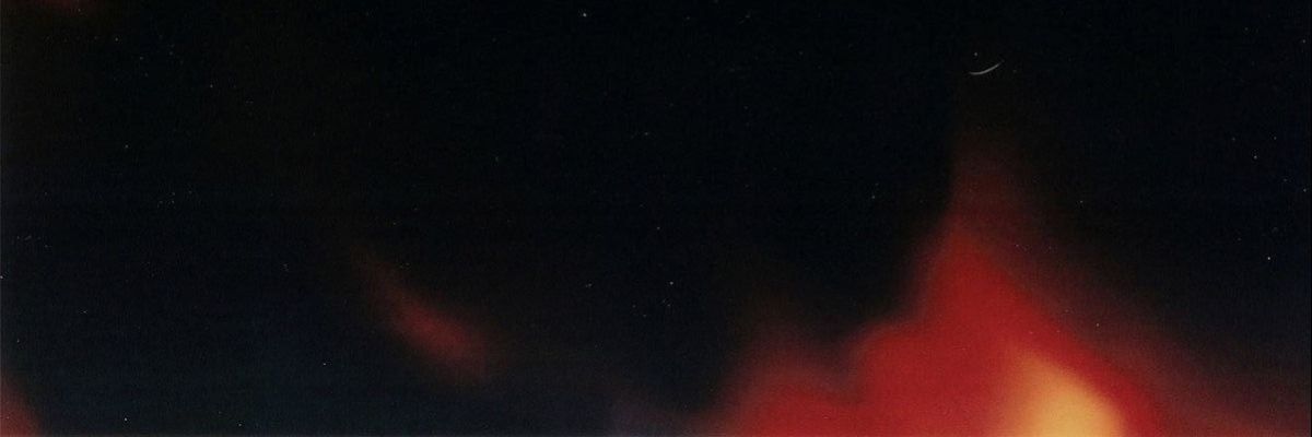 🌷tris ly🌷's banner