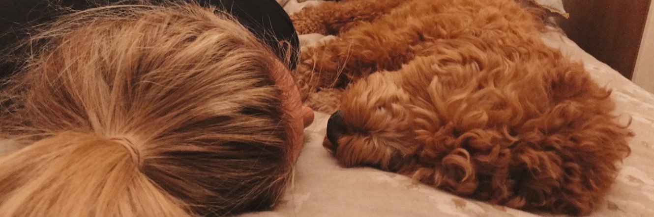 Dan banner