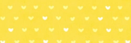 FioPrinzo's profile banner image