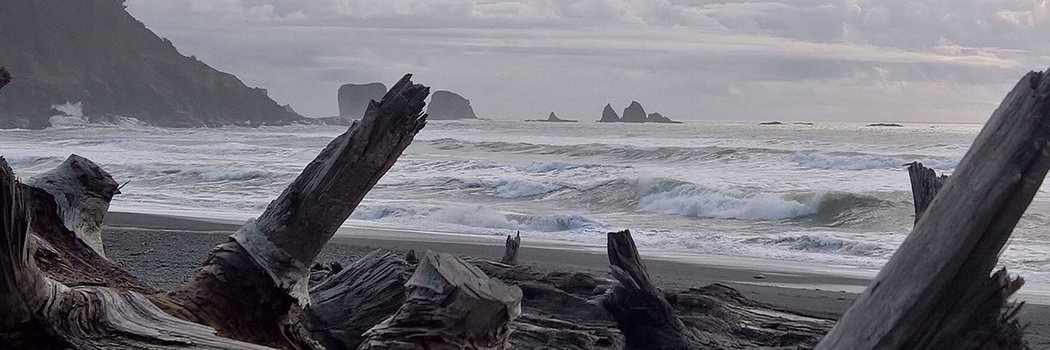 Rep. Derek Kilmer banner