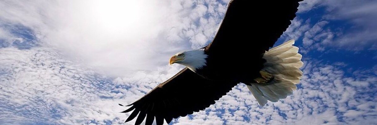 thevaliantgroup's profile banner image