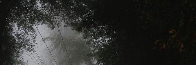 hallawi23's profile banner image