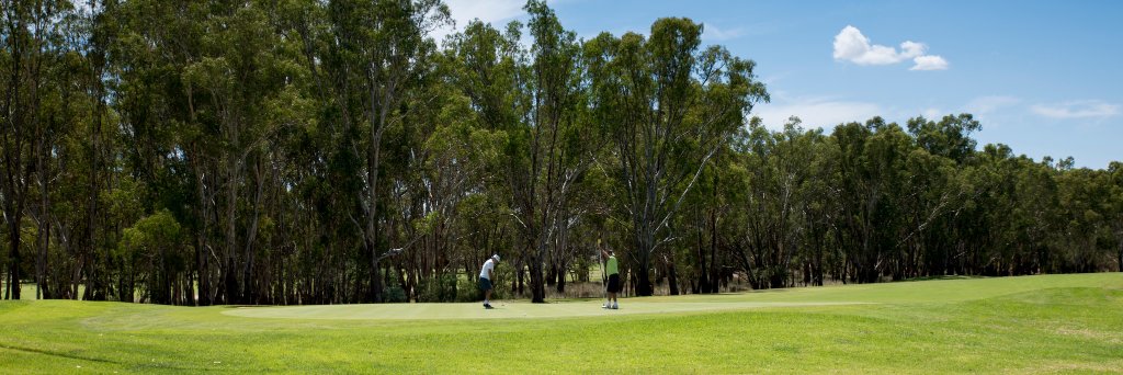 tocgolf's profile banner image