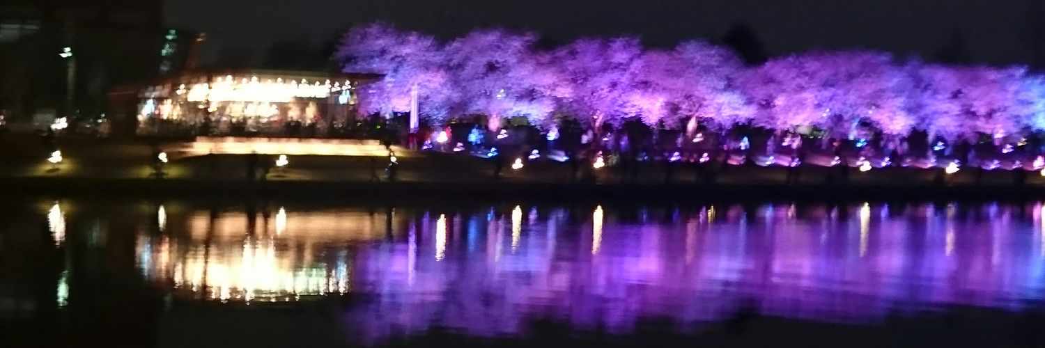 sekichaniwa's profile banner image