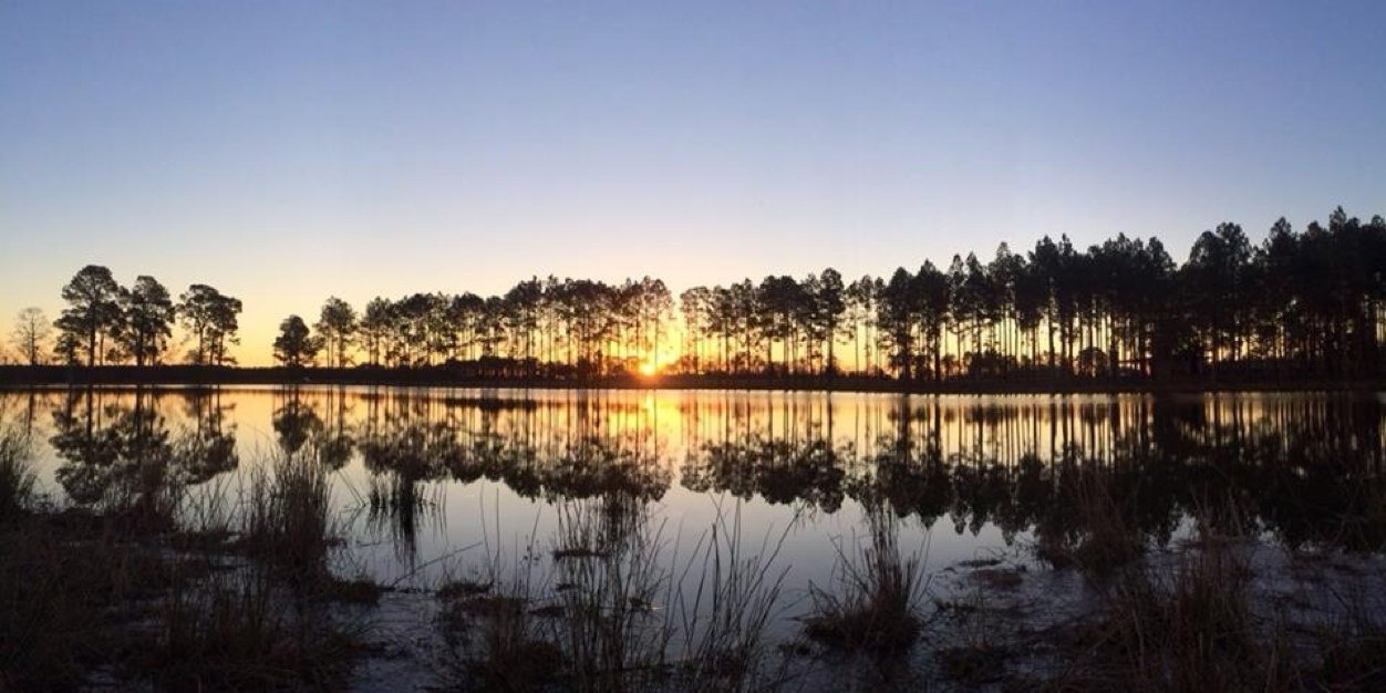 Chase Daughtrey banner