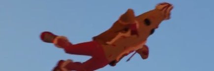 ANT's banner