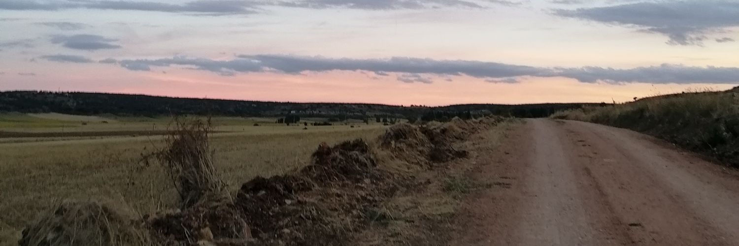 Saruchi_04's profile banner image