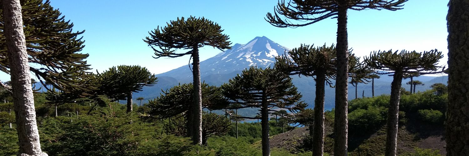 cristián banner