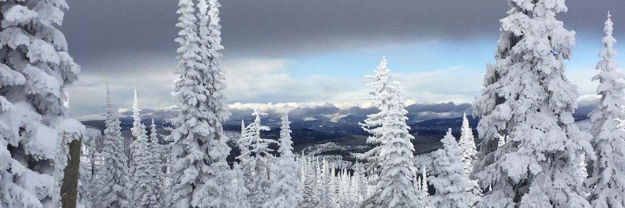johnny_cliff's profile banner image
