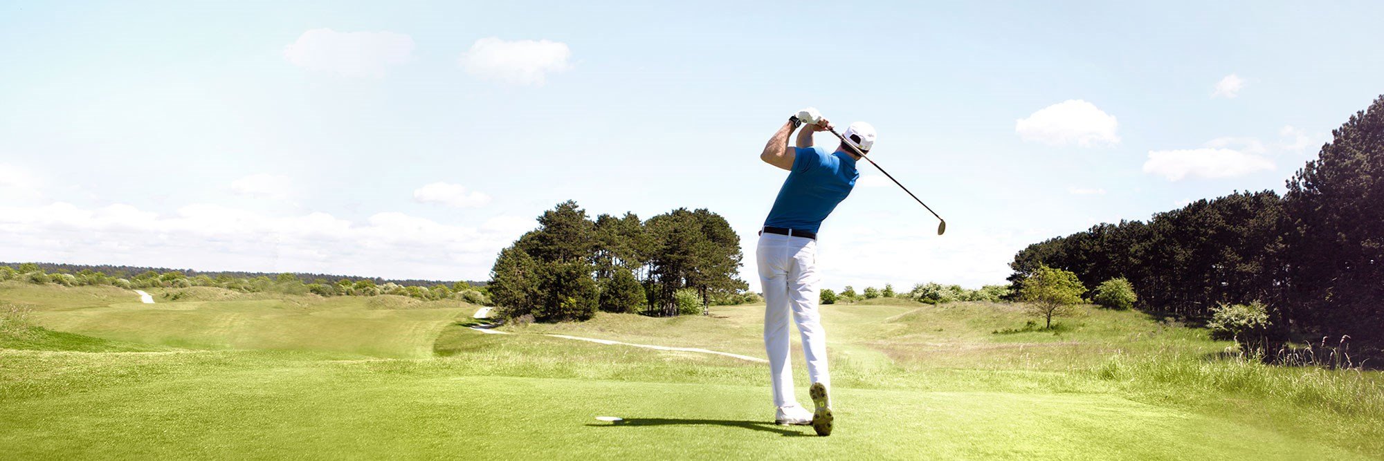 Robert Bollen banner