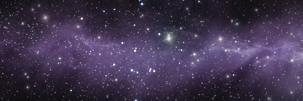 SuricateSeboso Profile Banner