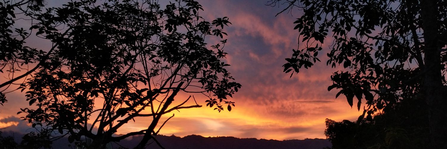 C. Daniel Sanchez R. banner