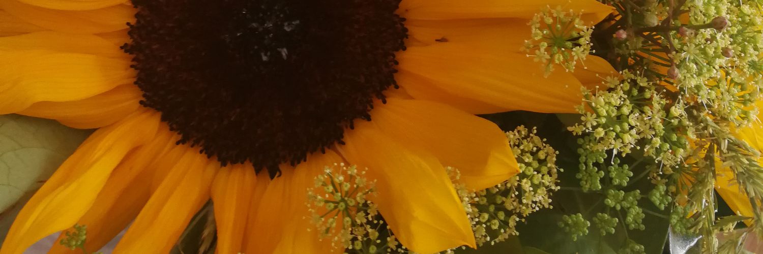 sezdee_'s profile banner image