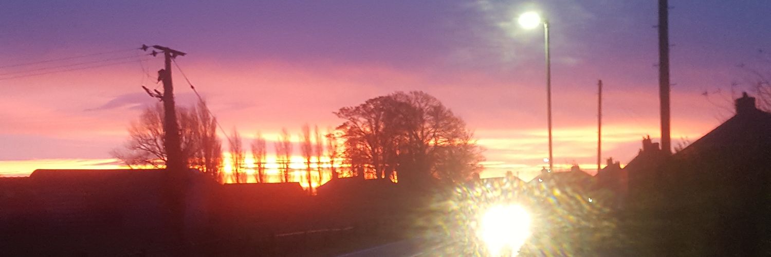 https//rinklestinkle banner