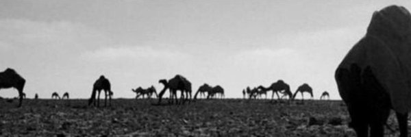 _qi2r Profile Banner