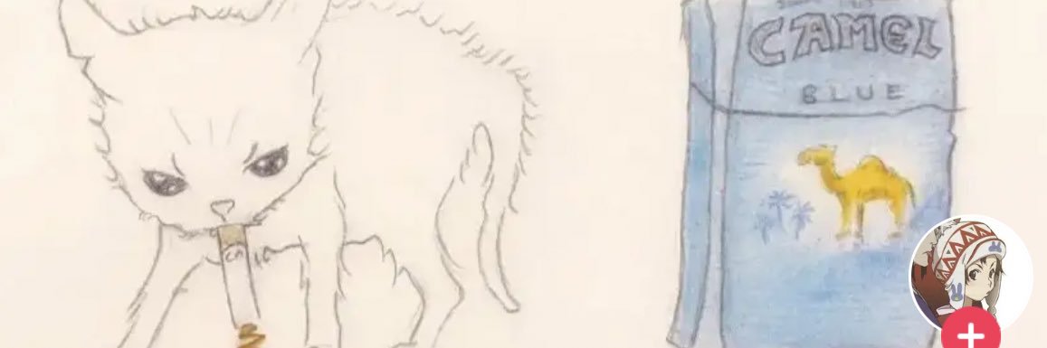 _spoto2's profile banner image