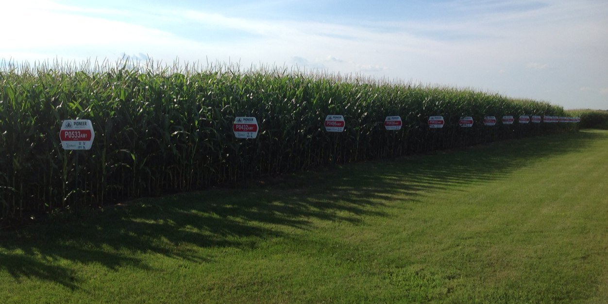 Lance Strange banner