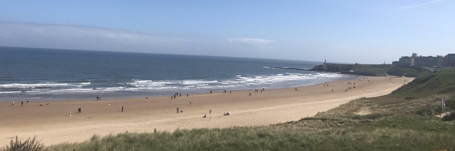 Ian McCormick banner