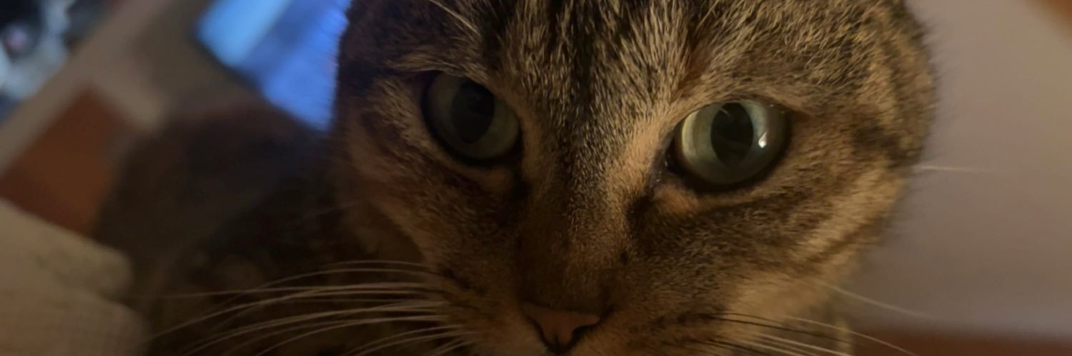 itsjaylynyall's profile banner image