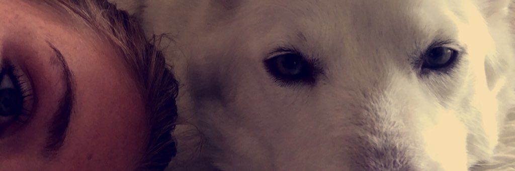 brooke_vining's profile banner image