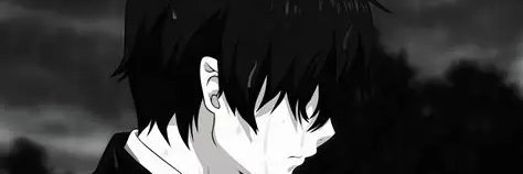 Sy banner