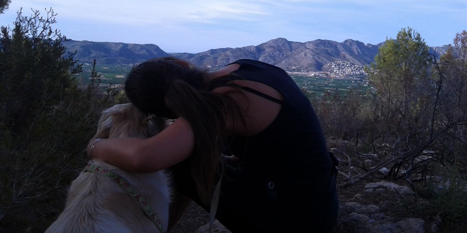 Celi_kitty's profile banner image