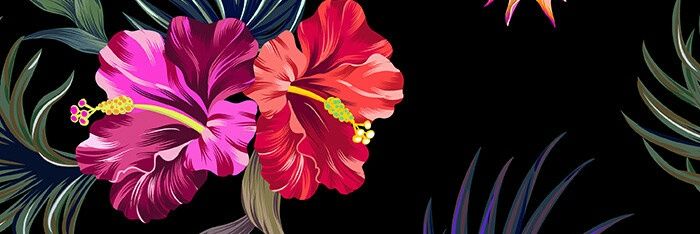 karenpetit's profile banner image
