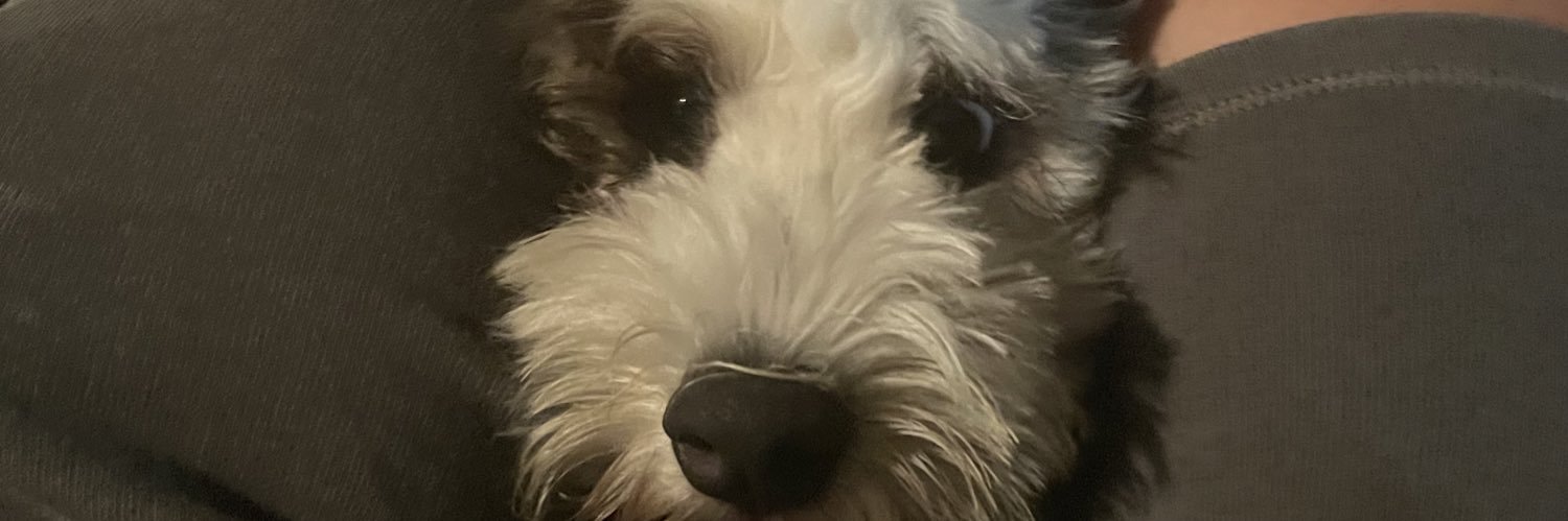 HolleyBrendan's profile banner image