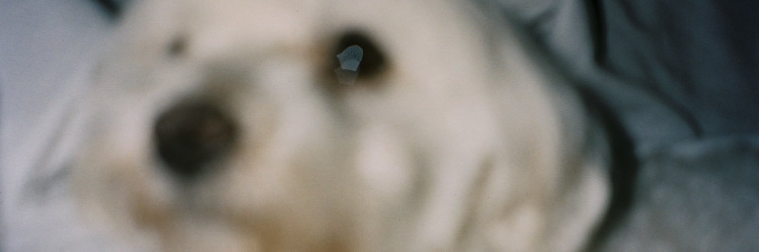 simplyyserina's profile banner image