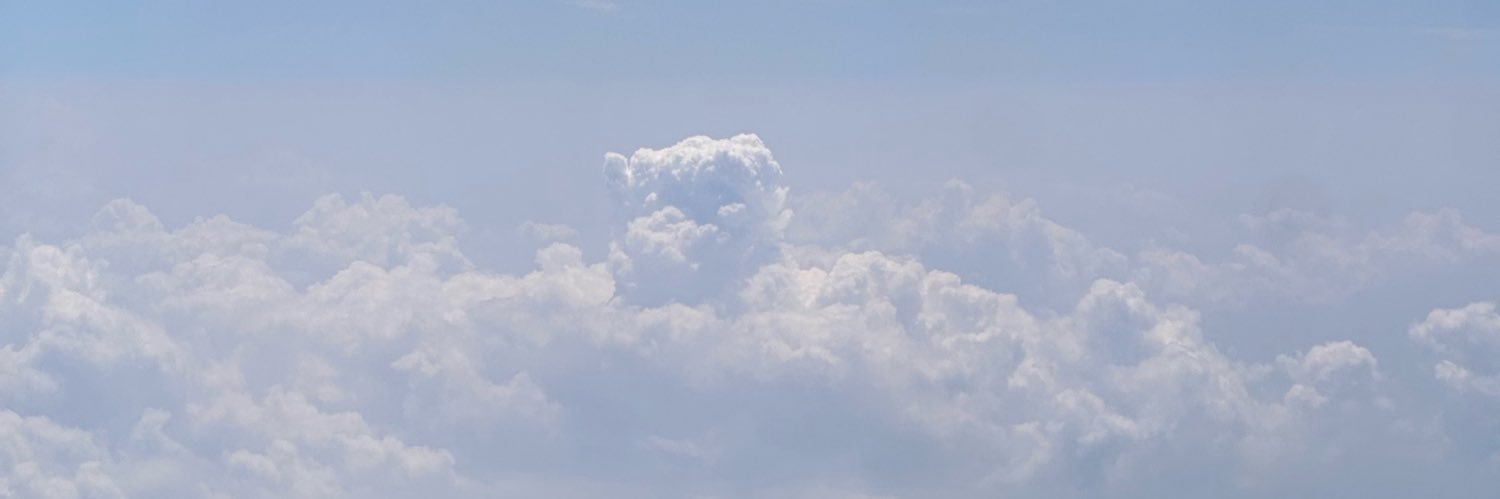 ⁱʷʷᵗ ☘︎ banner