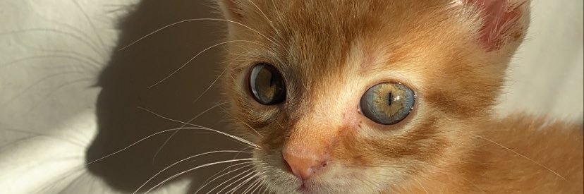 KrolFreij's profile banner image