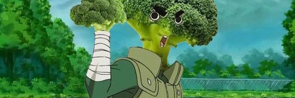 BrockLeePOY banner