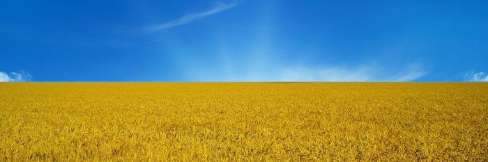 ™️ banner