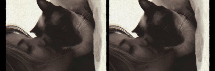 Bibia banner