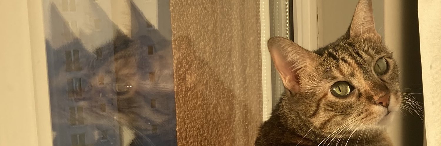 ilaydaerrcan's profile banner image