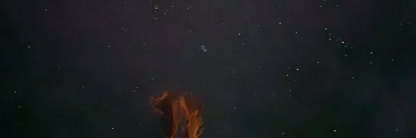 _RN03xx_ Profile Banner