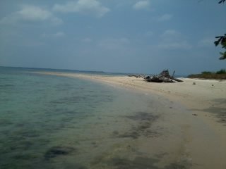 devi_kensya's profile banner image