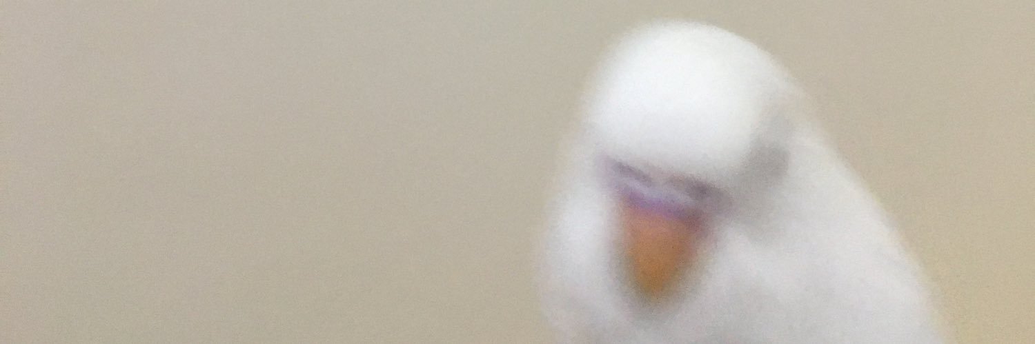 zeyn144p's profile banner image