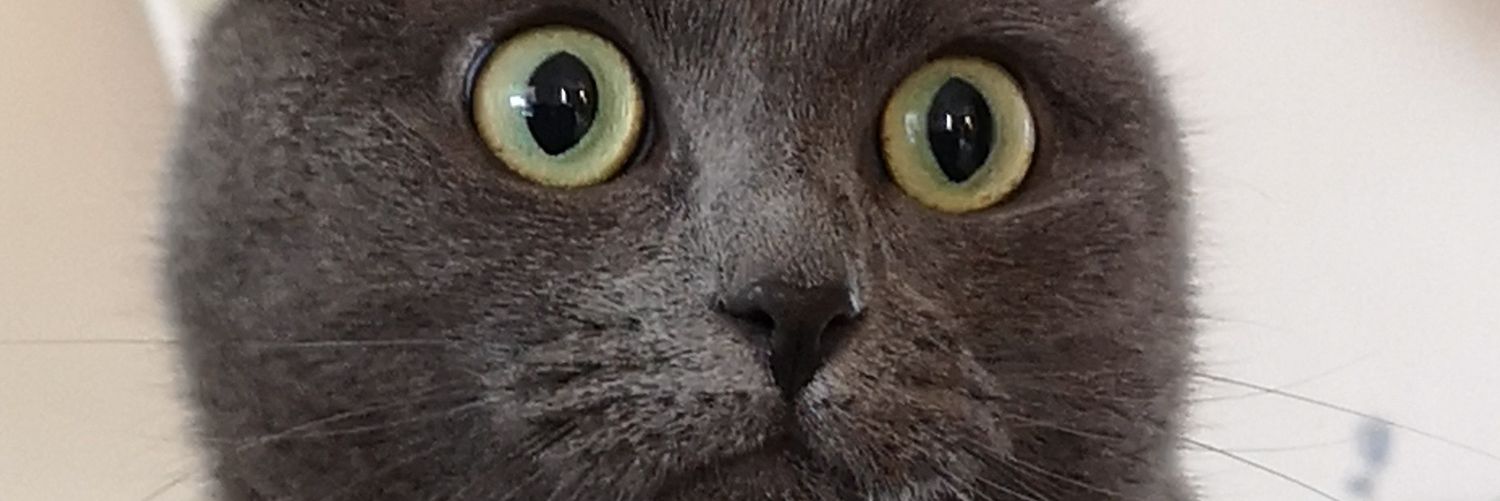 MSB_off's profile banner image
