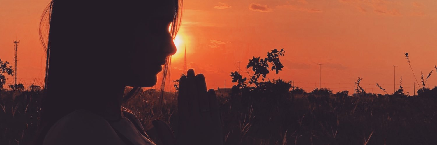 susanchaves's profile banner image