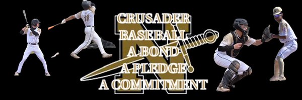 LCN Baseball Profile Banner