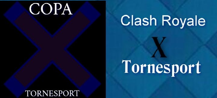 Tornesport banner