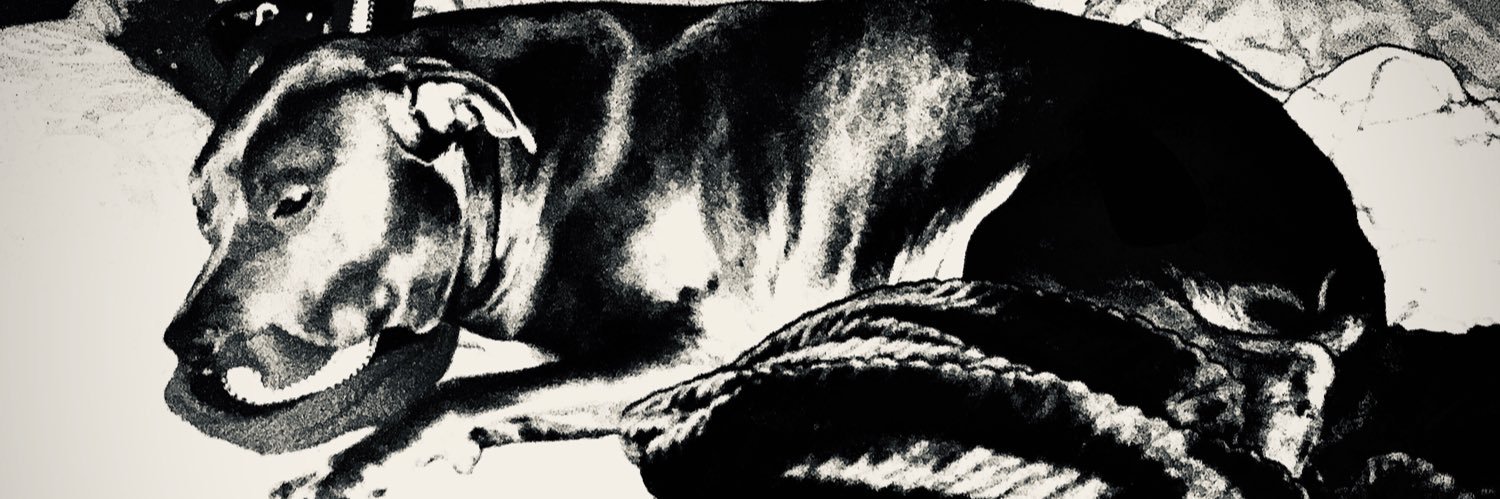 44youngn's profile banner image