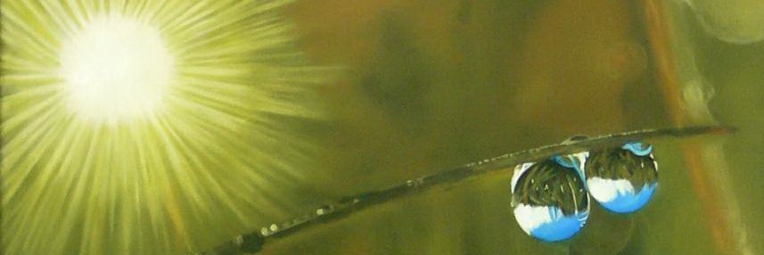 cat_pat's profile banner image